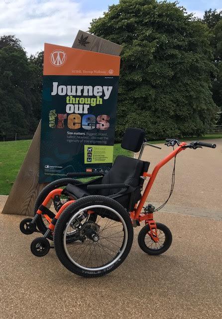 MT Push at Westonbirt Arboretum