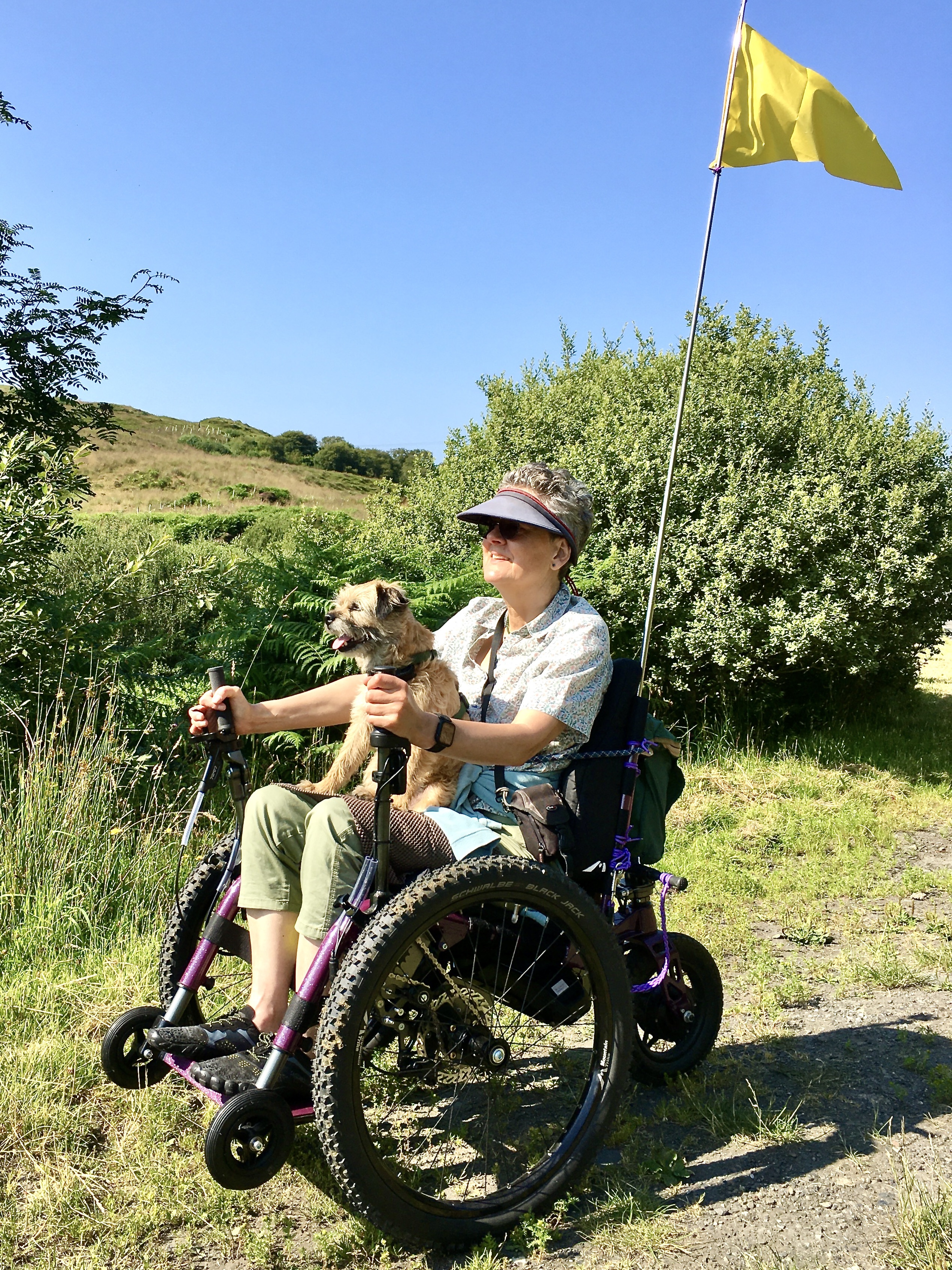 Dog rides on the eTrike all terrain wheelchair