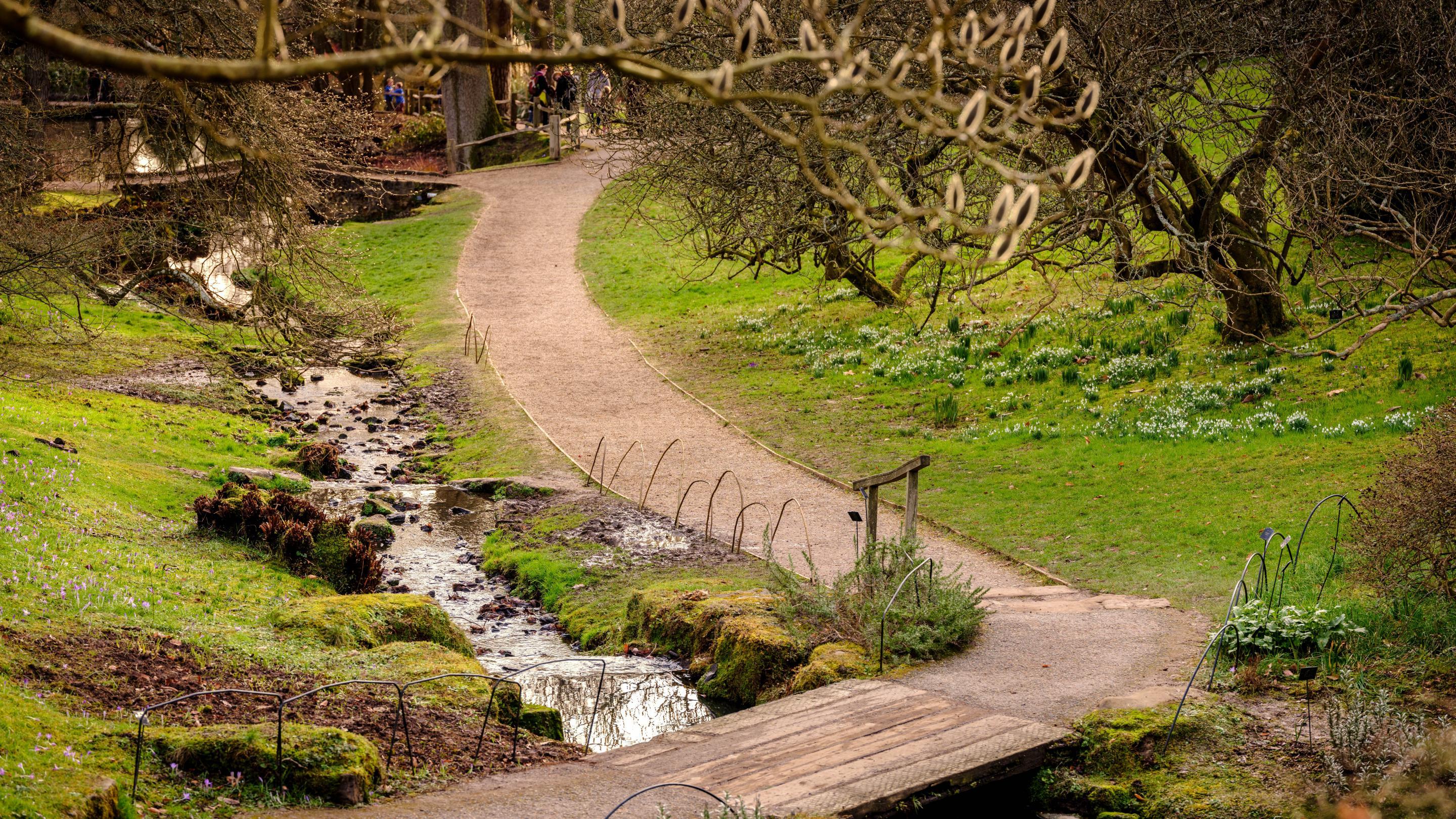 Mountain Trike customer review of wheelchair accessible routes in Sussex