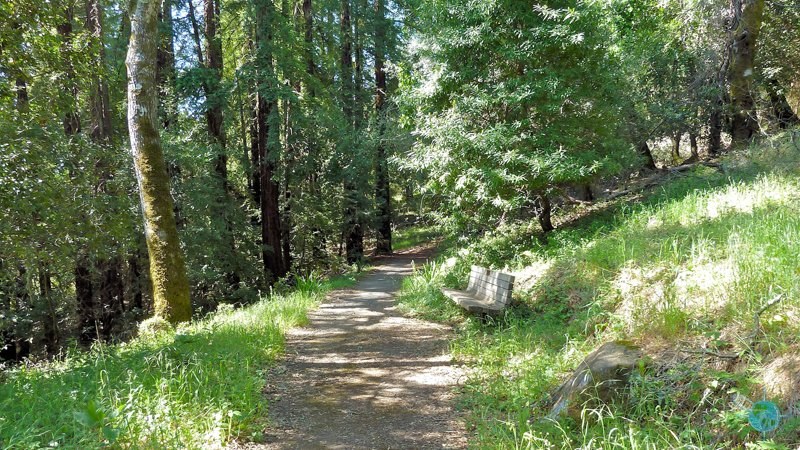 Accessible Trails