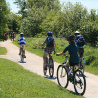 Forest of Dean - Pedal a bike away
